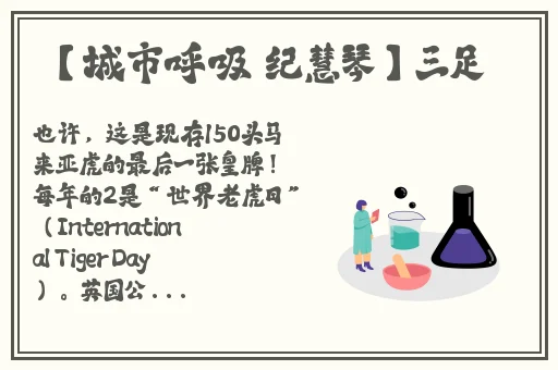x9x9x9任意槽暗夜