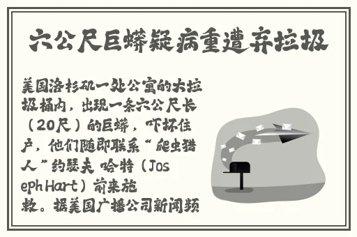 久久久久99精品成人片试看